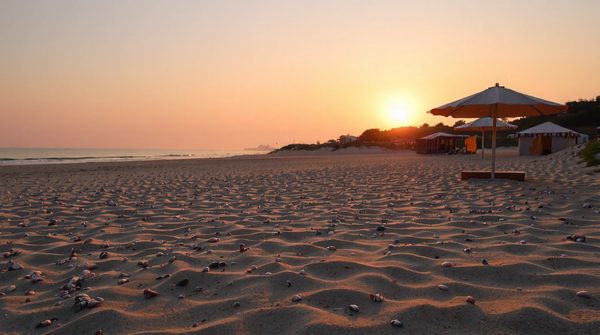 Les incontournables activités à découvrir en camping en charente-maritime